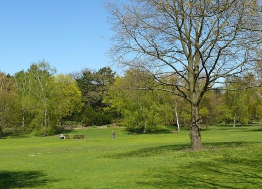 Volkspark Rehberge