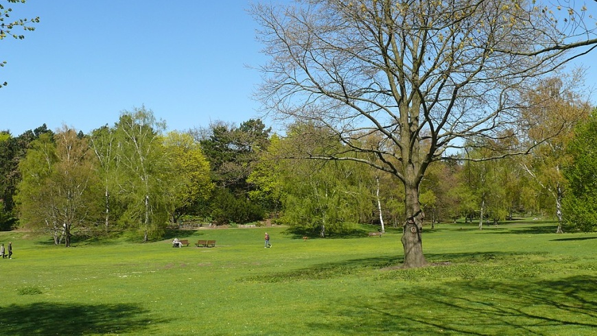 Volkspark Rehberge