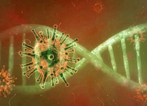 Coronavirus (SARS-CoV-2)