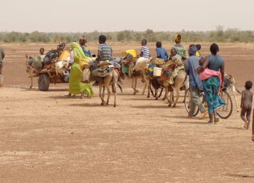 Migration in Burkina Faso bei Ouagadougou