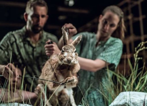 Still life | Puppentheater Ljubljana