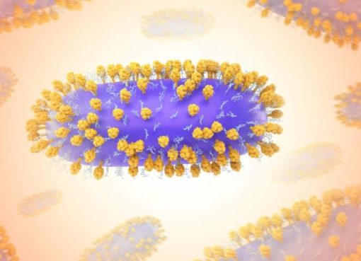 Respiratorisches Synzytialvirus (RSV)