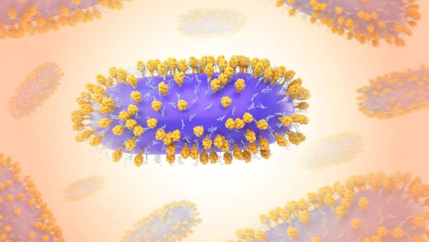 Respiratorisches Synzytialvirus (RSV)