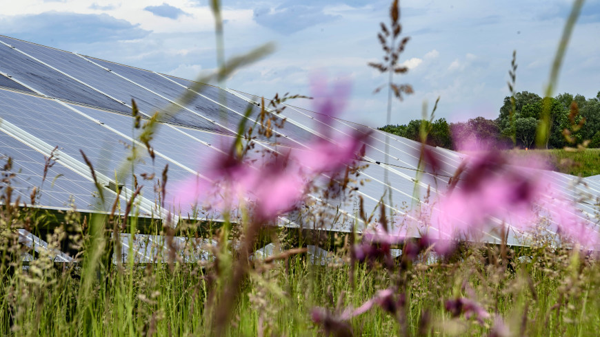 Solarpark Leutkirch