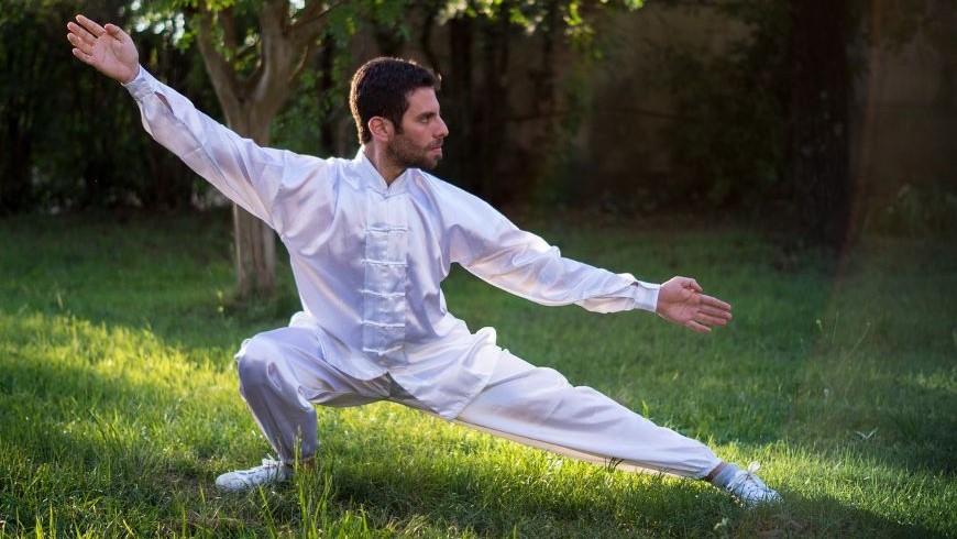 Tai Chi Meister