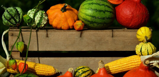 Der Herbst bringt die bunte Kürbisvielfalt auf den Tisch.