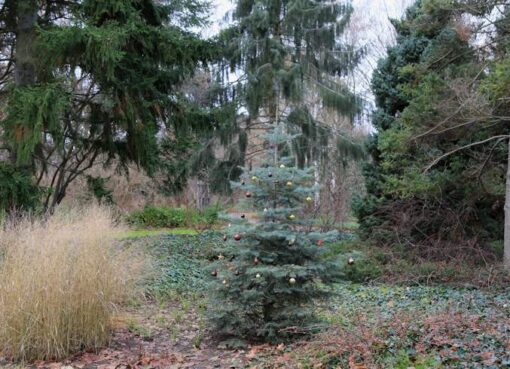 Geschmückter Weihnachtsbaum