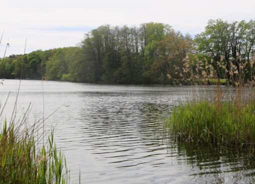 Badestellen in Brandenburg