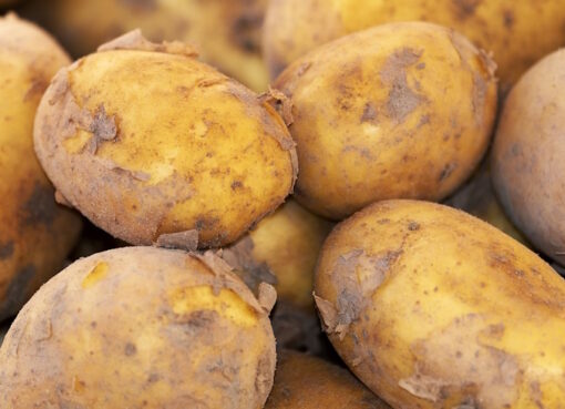 Kartoffeln