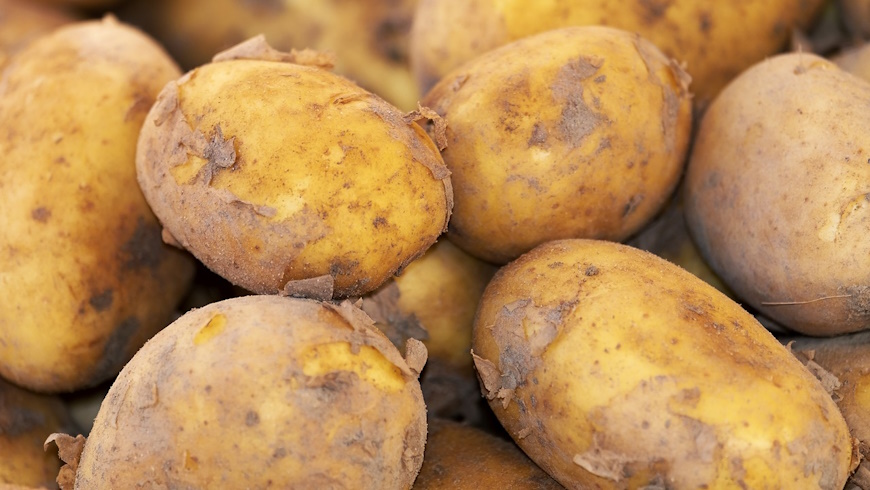 Kartoffeln