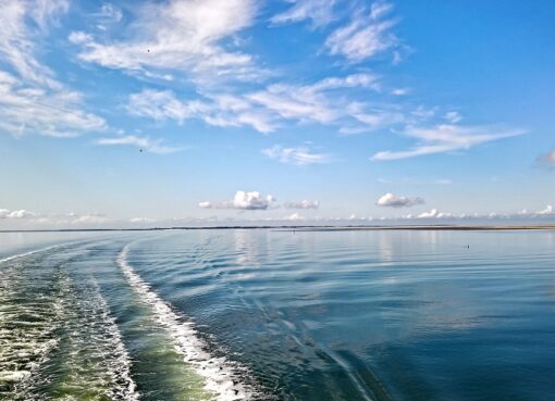 Nordseewellen