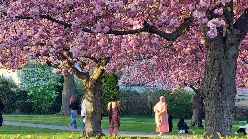 Rosa-Pink-Magenta Fashion-Day im Lilienthalpark