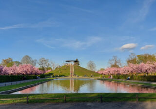 Kirschblüte im Lilienthalpark in Lichterfelde