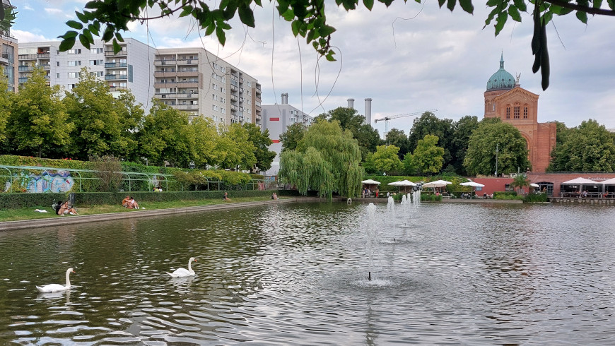 Das Engelbecken ist eine Oase in Berlin-Mitte, nicht weit von der Janowitzbrücke.